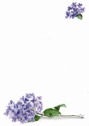 Papel de correspondencia decorada "Lila"