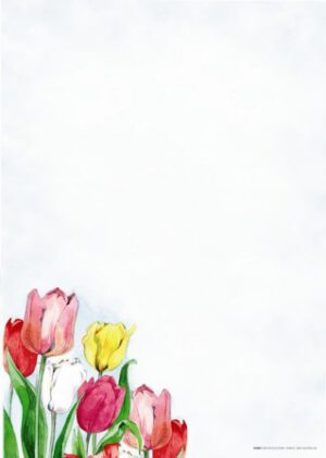 Papel de correspondencia decorada "Tulipanes"